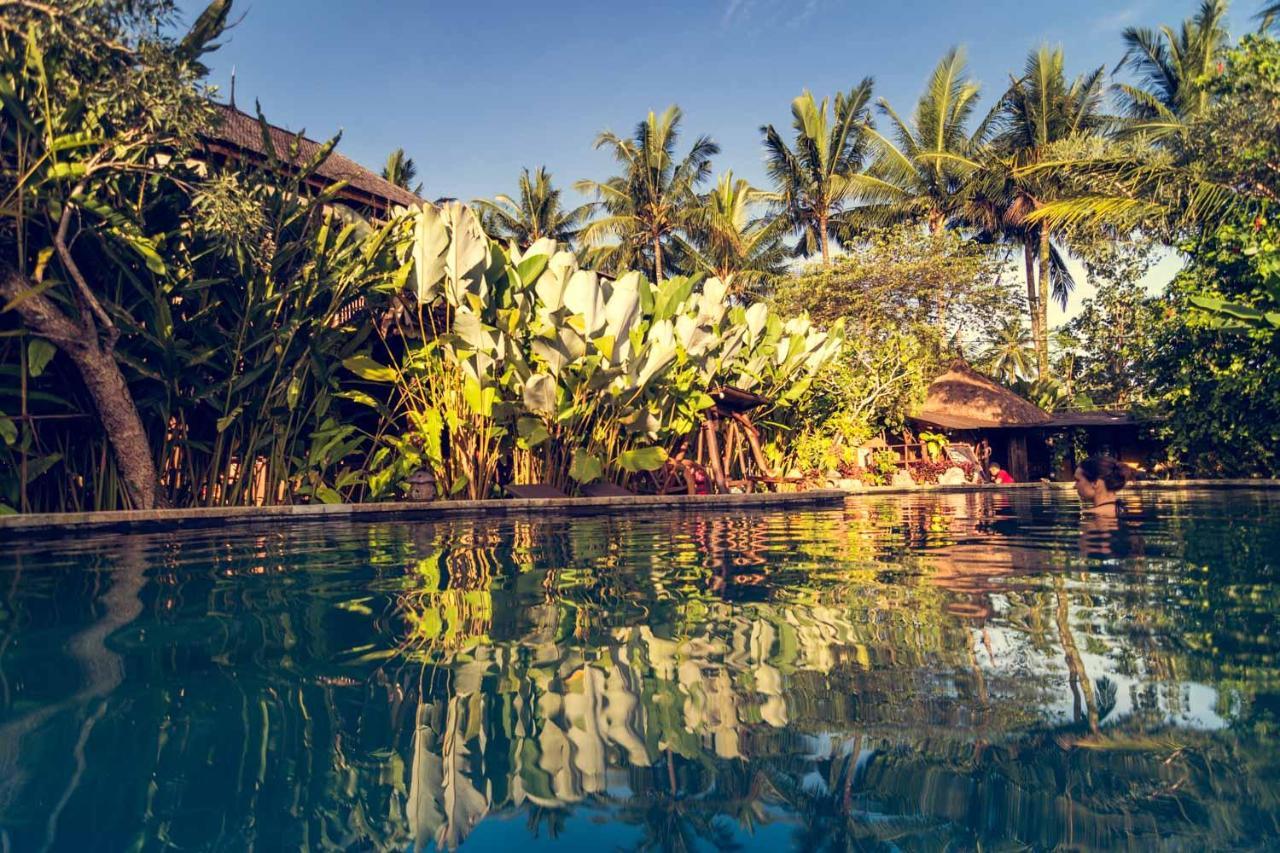 Dragonfly Village Ubud Exterior foto