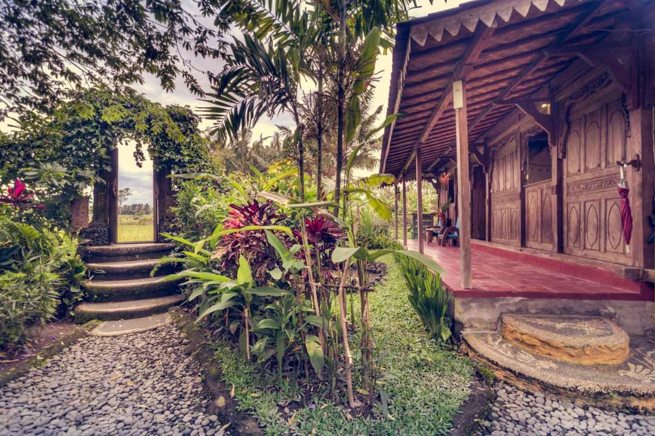 Dragonfly Village Ubud Exterior foto