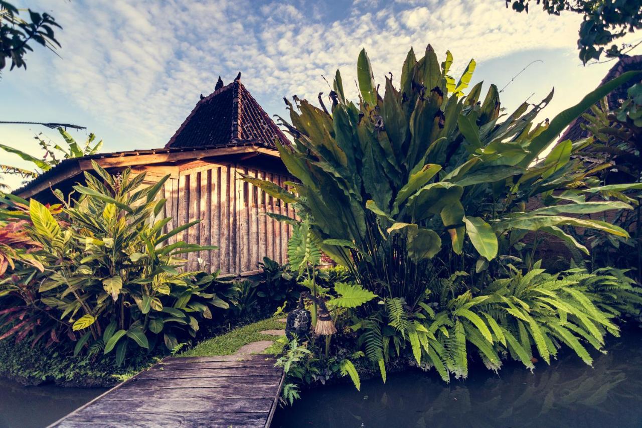 Dragonfly Village Ubud Exterior foto