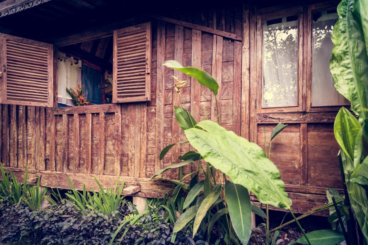 Dragonfly Village Ubud Exterior foto