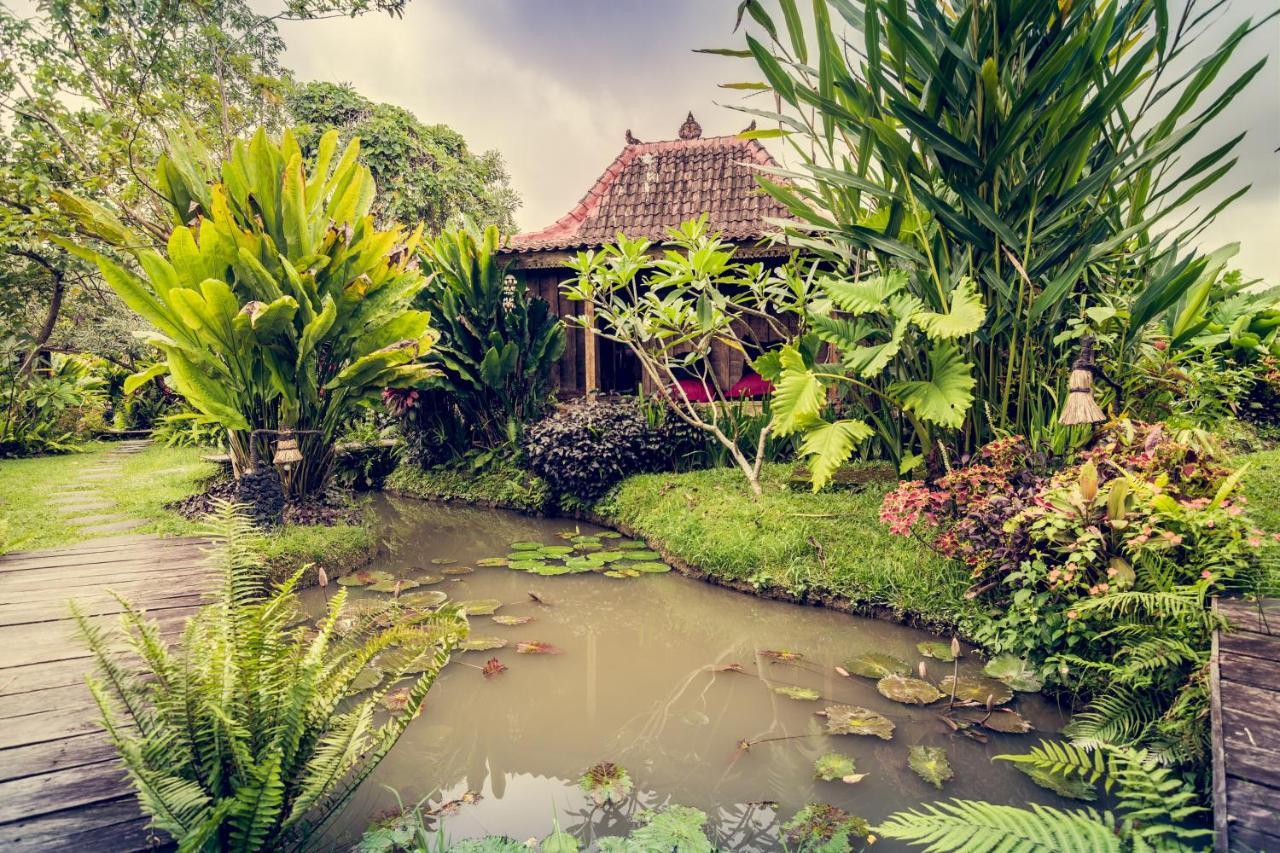 Dragonfly Village Ubud Exterior foto