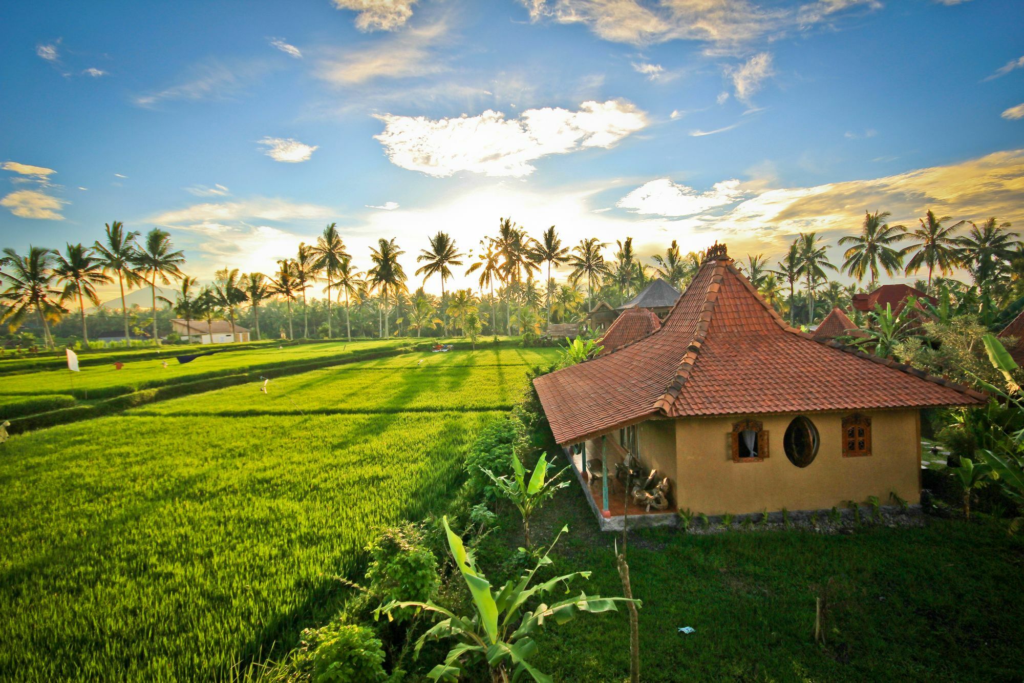 Dragonfly Village Ubud Exterior foto